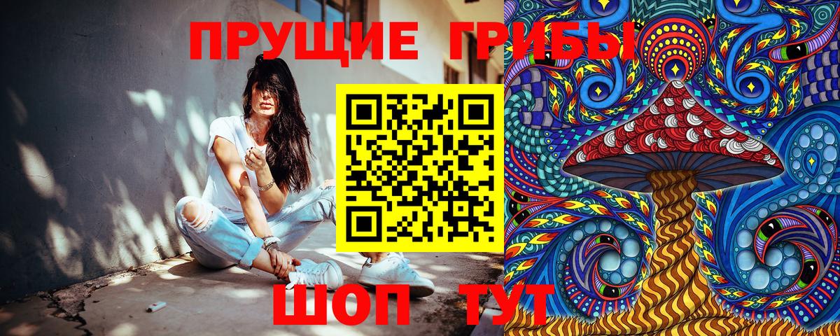 Псилоцибиновые грибы мухоморы Дивногорск