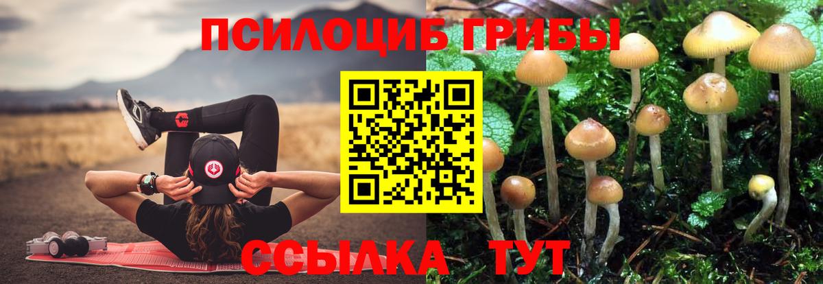 Дивногорск  Псилоцибиновые грибы Psilocybe  Вход с VPN  где можно купить   Псилоцибиновые грибы Magic Shrooms 